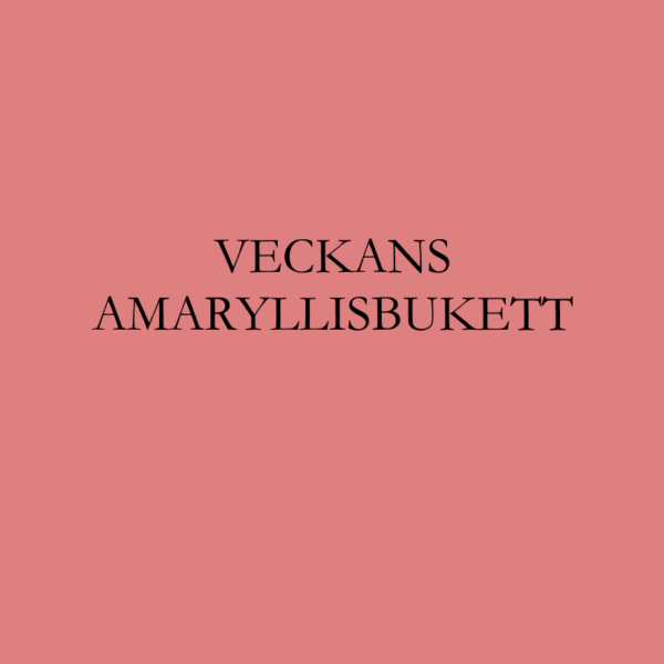 Lyxig Amaryllisbukett