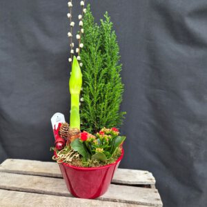 Stor Julgrupp Röd Kruka